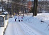 Lichnov 01